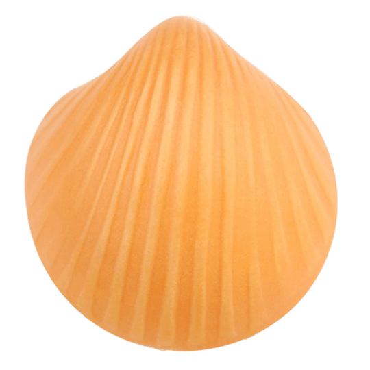 Edelengobe Orange Pulver